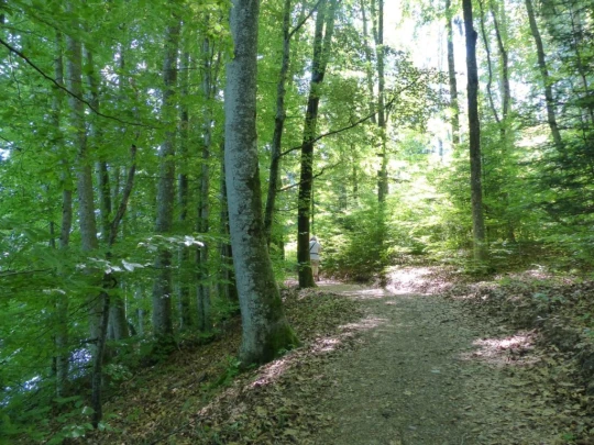 Corbières Les Planches chemin du lac de Gruyère Broc bois de Bouleyres Bulle