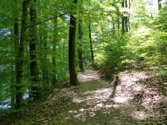 Corbières Les Planches chemin du lac de Gruyère Broc bois de Bouleyres Bulle