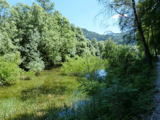 Corbières Les Planches chemin du lac de Gruyère Broc bois de Bouleyres Bulle
