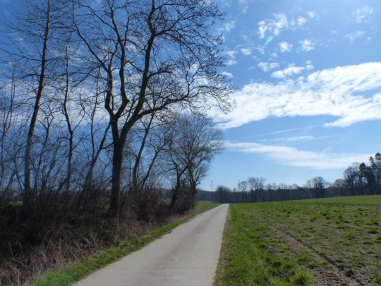 corcelles-sud-payerne-107