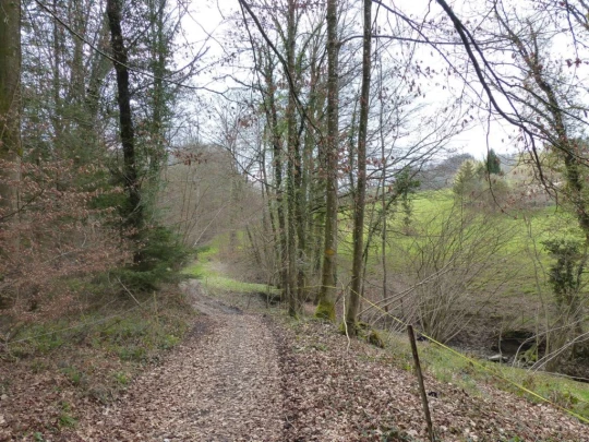 corcelles-sud-payerne-137