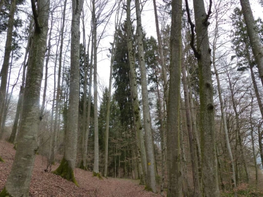 corcelles-sud-payerne-141