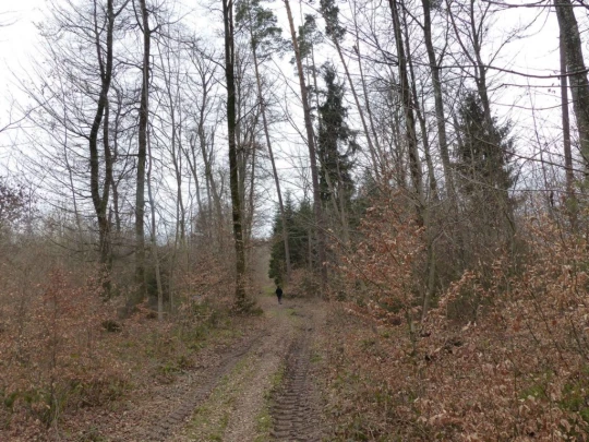 corcelles-sud-payerne-142