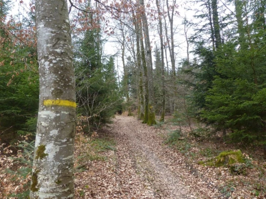 corcelles-sud-payerne-143