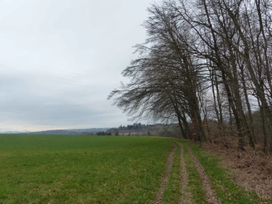 corcelles-sud-payerne-146