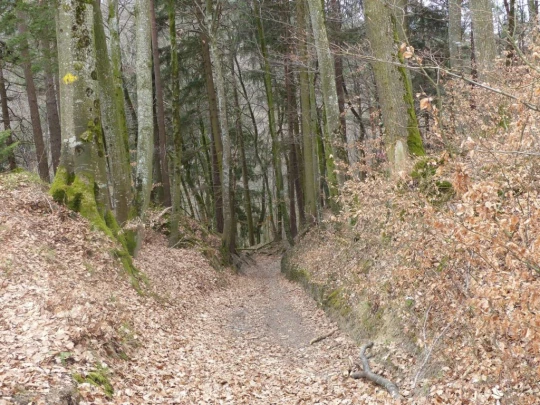 corcelles-sud-payerne-148