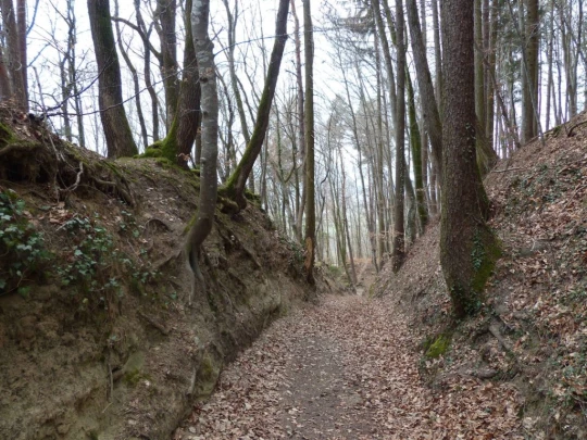 corcelles-sud-payerne-149