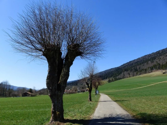 Courtelary, Camille Bloch, chocolat, Cormoret, Les Frasses, Villeret, St-Imier