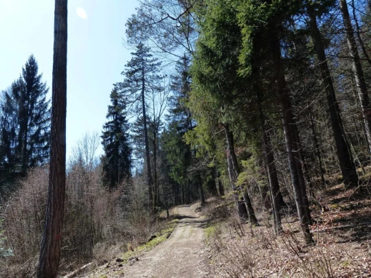 Courtelary, Camille Bloch, chocolat, Cormoret, Les Frasses, Villeret, St-Imier