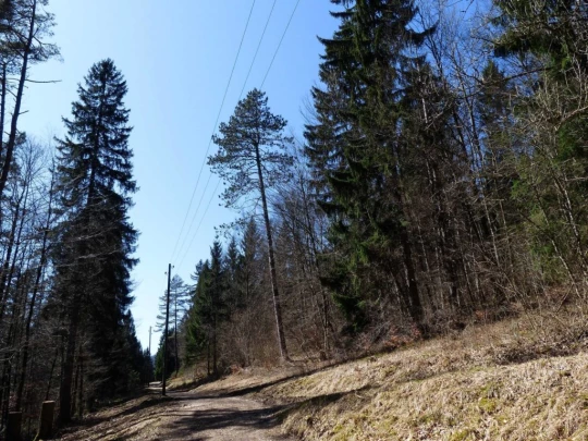 Courtelary, Camille Bloch, chocolat, Cormoret, Les Frasses, Villeret, St-Imier