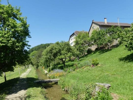 croy-les-biolles-la-sarraz-113