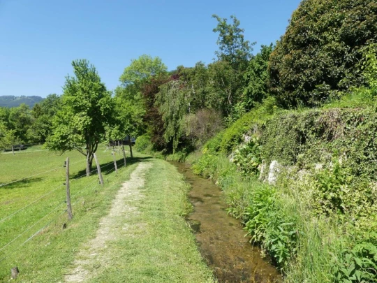 croy-les-biolles-la-sarraz-115
