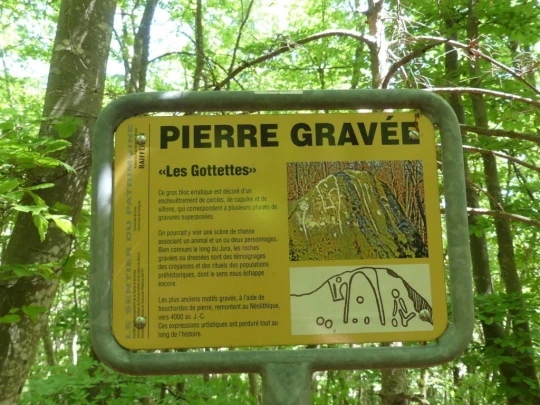 croy-les-biolles-la-sarraz-132
