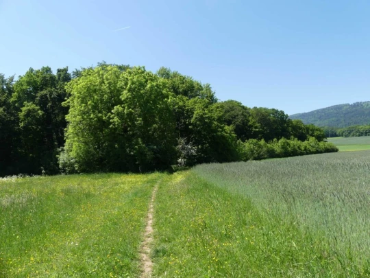 croy-les-biolles-la-sarraz-140