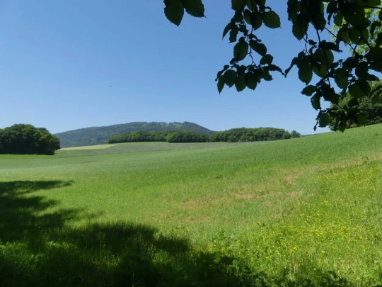 croy-les-biolles-la-sarraz-143