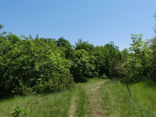 croy-les-biolles-la-sarraz-148