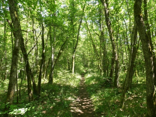croy-les-biolles-la-sarraz-149