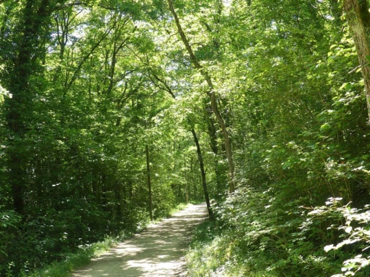 croy-les-biolles-la-sarraz-155