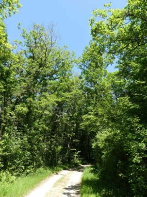 croy-les-biolles-la-sarraz-162
