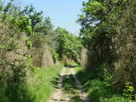 croy-les-biolles-la-sarraz-171