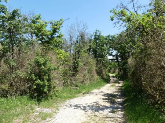 croy-les-biolles-la-sarraz-172
