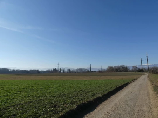 Echallens, Bois du Mont, Bretigny, St-Barthélemy, Assens