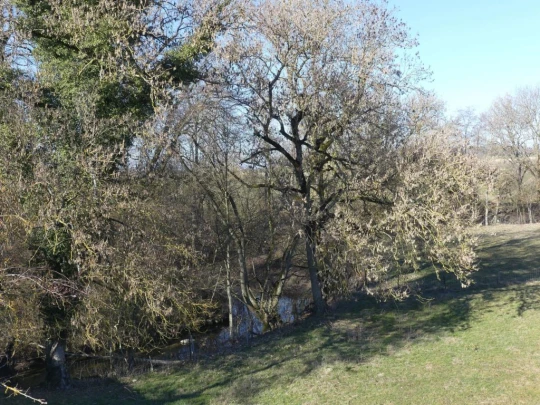 Echallens, Bois du Mont, Bretigny, St-Barthélemy, Assens