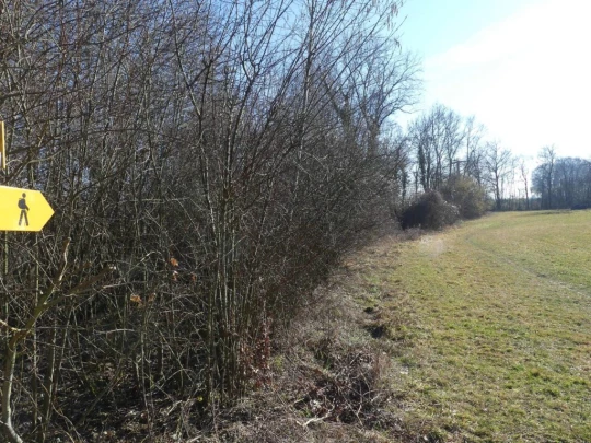 Echallens, Bois du Mont, Bretigny, St-Barthélemy, Assens, panneau