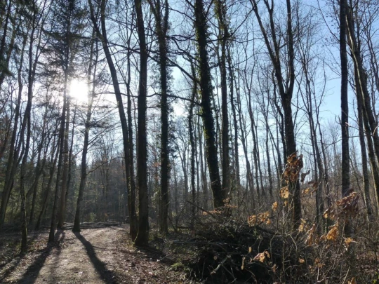 Echallens, Bois du Mont, Bretigny, St-Barthélemy, Assens