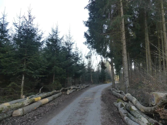 Echallens, Bois du Mont, Bretigny, St-Barthélemy, Assens