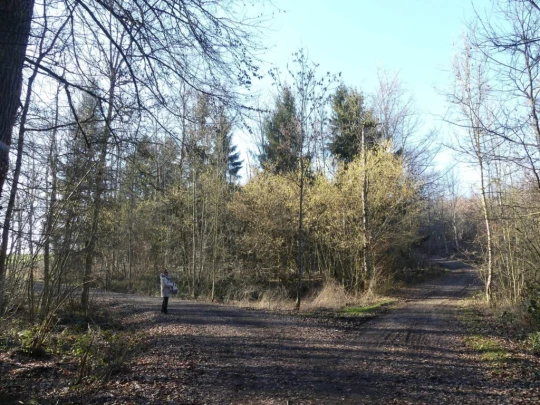 Echallens, Bois du Mont, Bretigny, St-Barthélemy, Assens, Fabienne