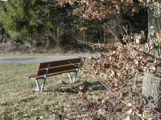 Echallens, Bois du Mont, Bretigny, St-Barthélemy, Assens, banc