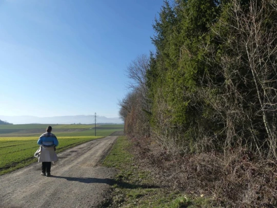 Echallens, Bois du Mont, Bretigny, St-Barthélemy, Assens, Fabienne