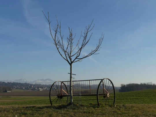 Echallens, Bois du Mont, Bretigny, St-Barthélemy, Assens