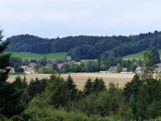 ecorcheboeuf-la-claie-aux-moines-110