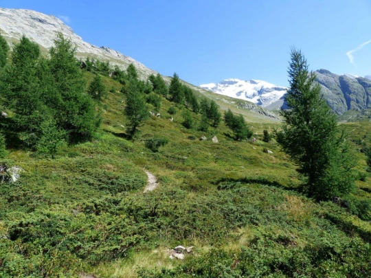 fafleralp-anenhutte_fafleralp-120