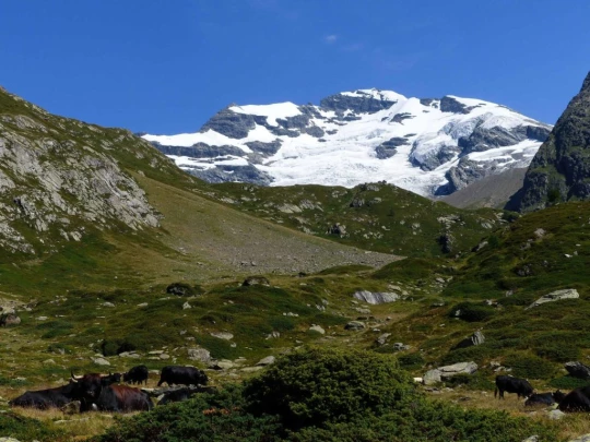 fafleralp-anenhutte_fafleralp-128