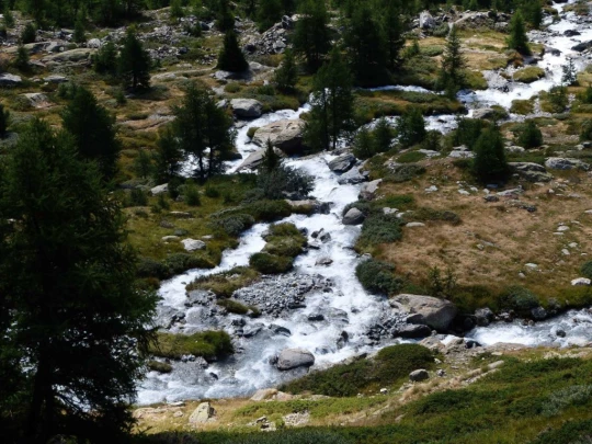 fafleralp-anenhutte_fafleralp-136