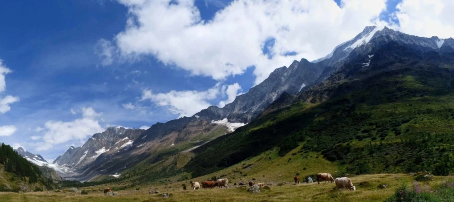 fafleralp-anenhutte_fafleralp-176