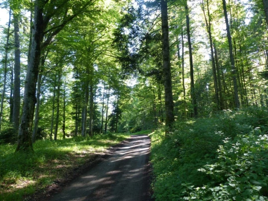 Froideville Mont des Lex Villars-Tiercelin Montaubion-Chardonney Naz Fey