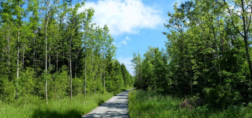 Froideville Mont des Lex Villars-Tiercelin Montaubion-Chardonney Naz Fey