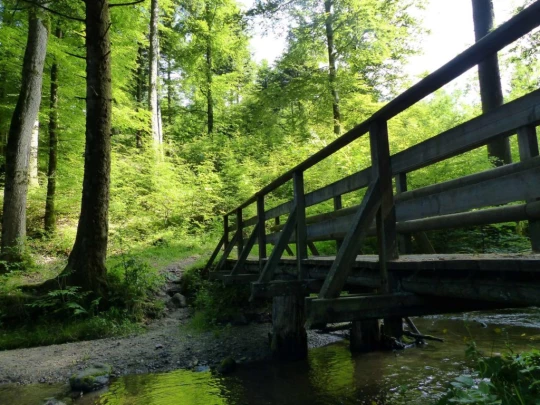 Froideville Mont des Lex Villars-Tiercelin Montaubion-Chardonney Naz Fey