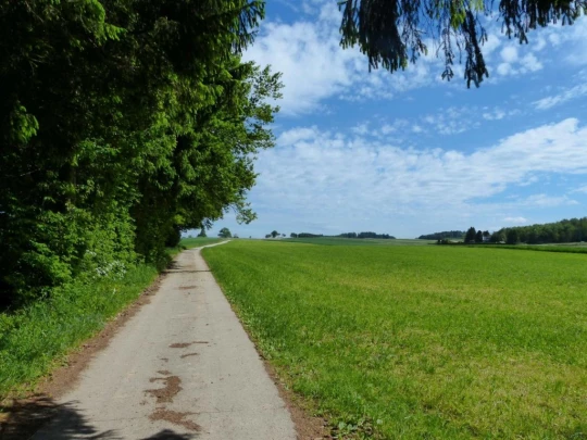 Froideville Mont des Lex Villars-Tiercelin Montaubion-Chardonney Naz Fey