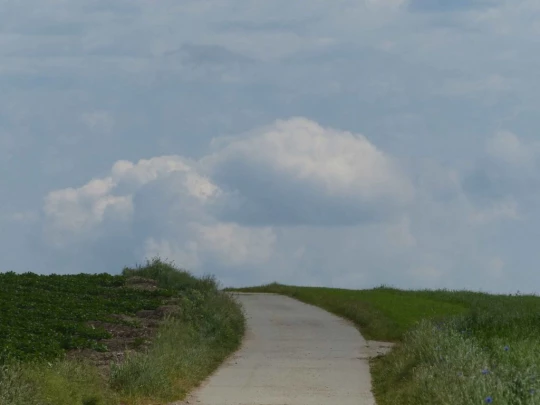 Froideville Mont des Lex Villars-Tiercelin Montaubion-Chardonney Naz Fey