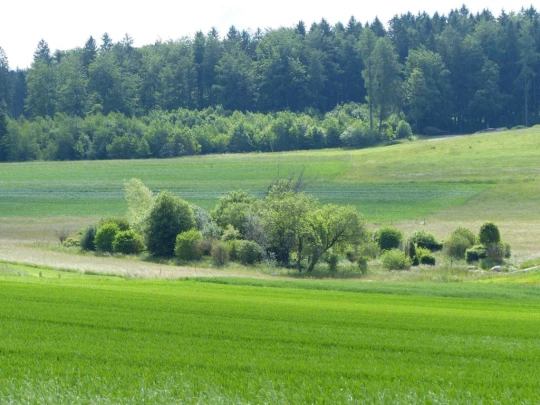 Froideville Mont des Lex Villars-Tiercelin Montaubion-Chardonney Naz Fey