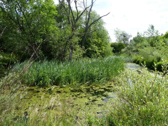 Froideville Mont des Lex Villars-Tiercelin Montaubion-Chardonney Naz Fey
