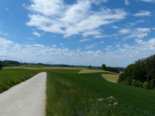 Froideville Mont des Lex Villars-Tiercelin Montaubion-Chardonney Naz Fey