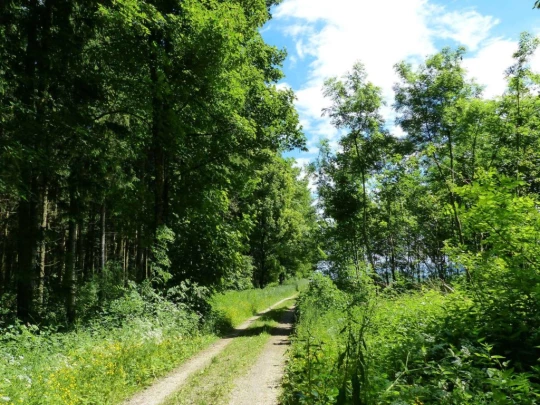 Froideville Mont des Lex Villars-Tiercelin Montaubion-Chardonney Naz Fey