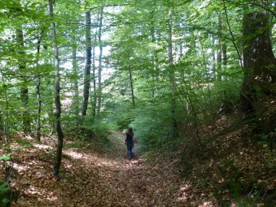 Elodie Froideville Mont des Lex Villars-Tiercelin Montaubion-Chardonney Naz Fey