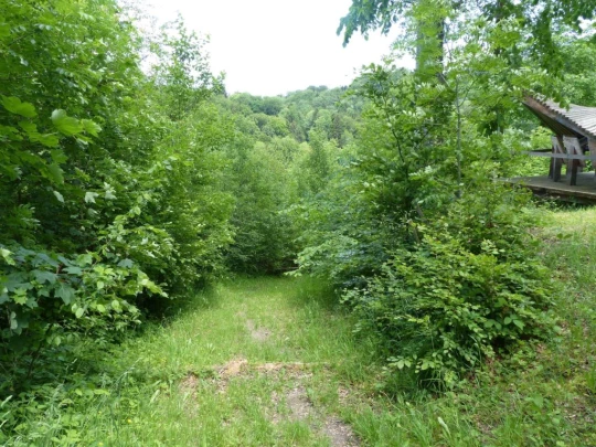 Froideville Mont des Lex Villars-Tiercelin Montaubion-Chardonney Naz Fey